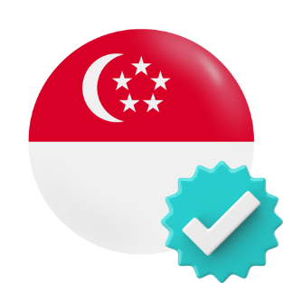 Application for Singapore Long-Term Visit Pass
