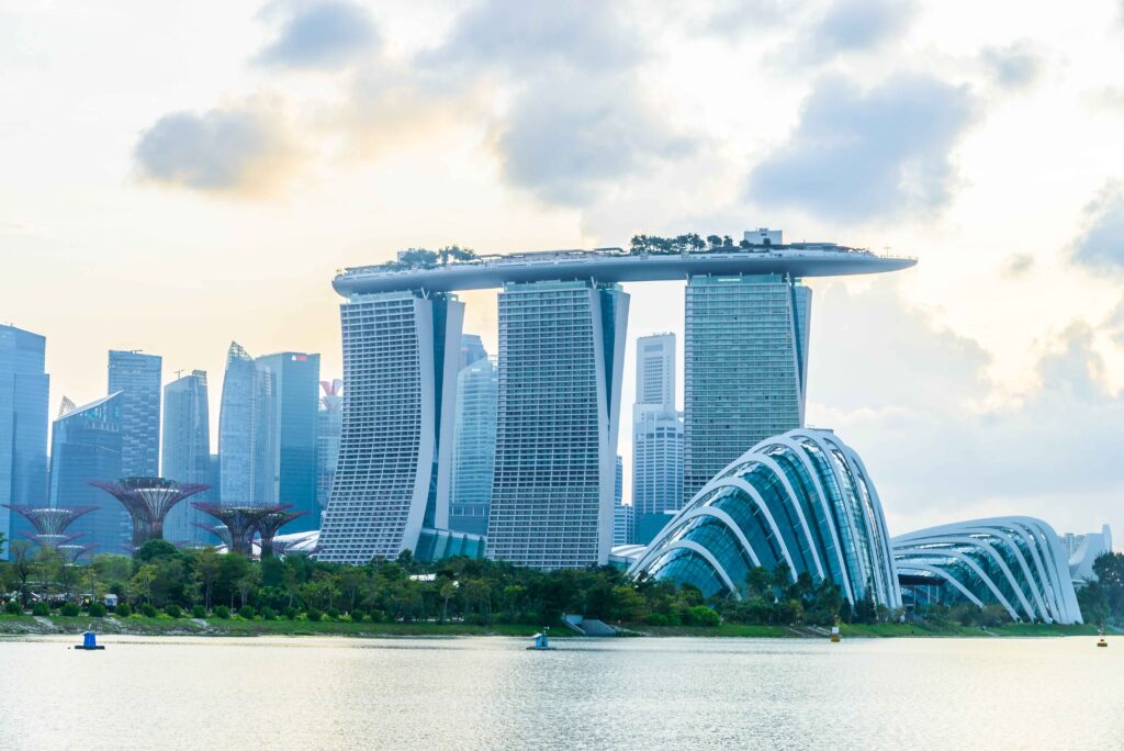 Role of a Singapore Immigration Consultant for Immigration Process