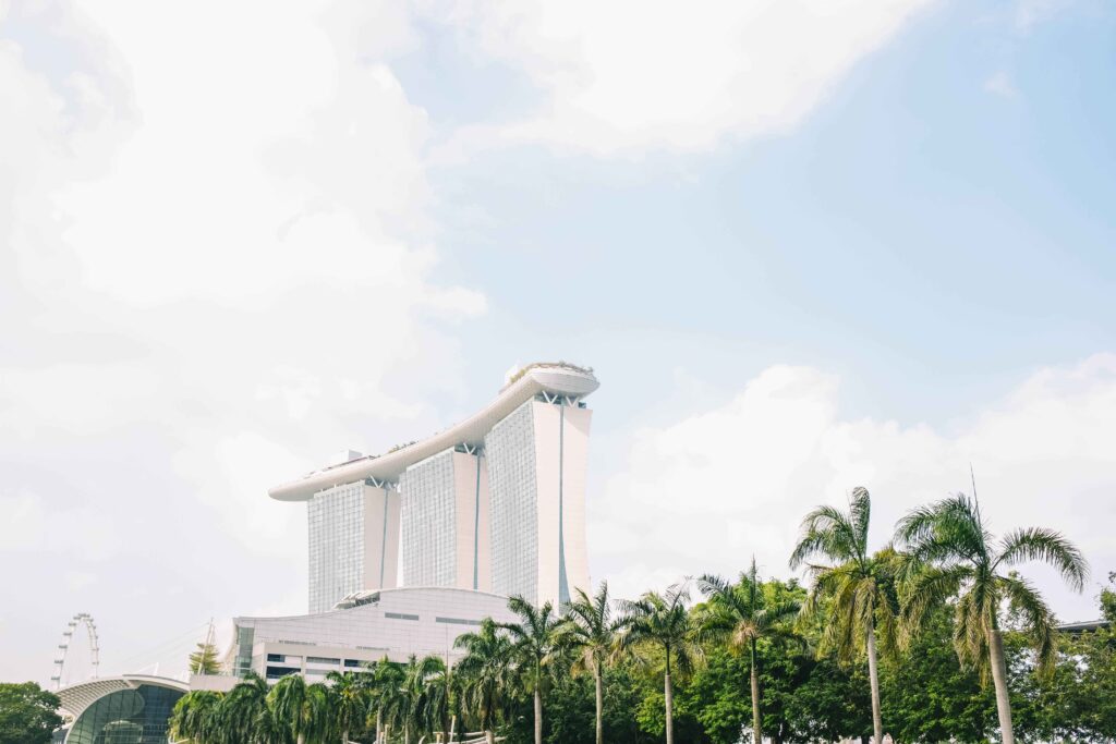 Converting from Singapore PR to Citizenship with an Immigration Consultant